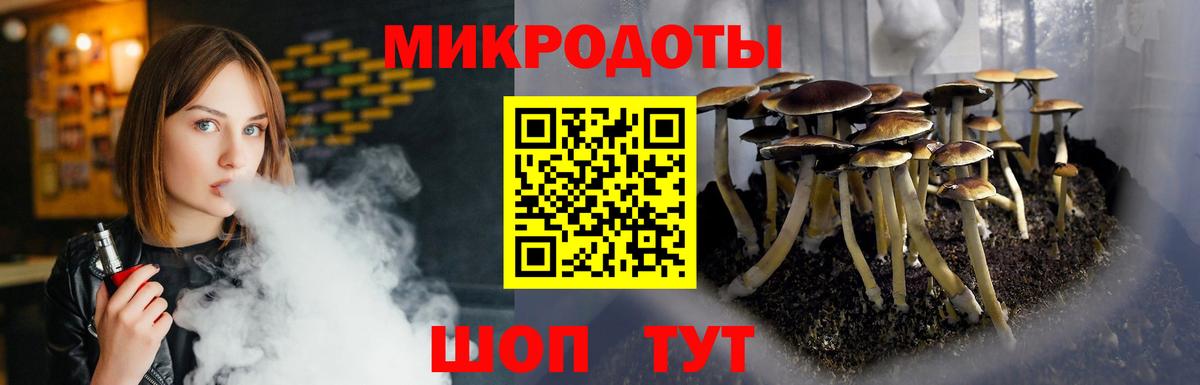 Галлюциногенные грибы Psilocybine cubensis  Вход с VPN  Магадан 