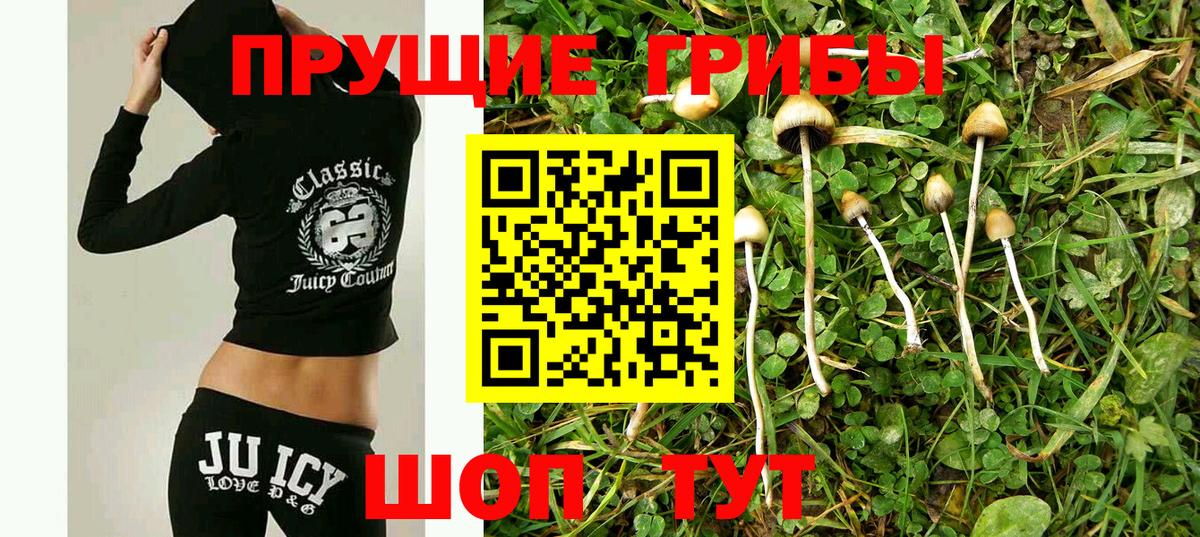 Псилоцибиновые грибы Cubensis Магадан